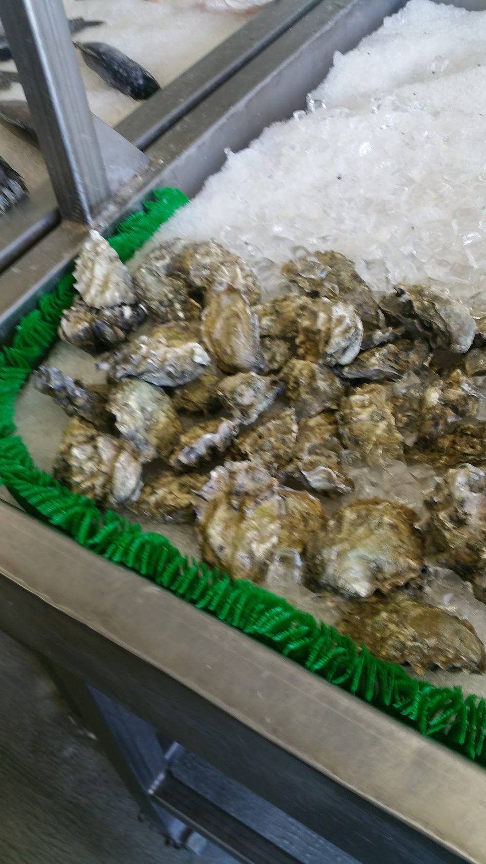 Oysters on the Half Shell