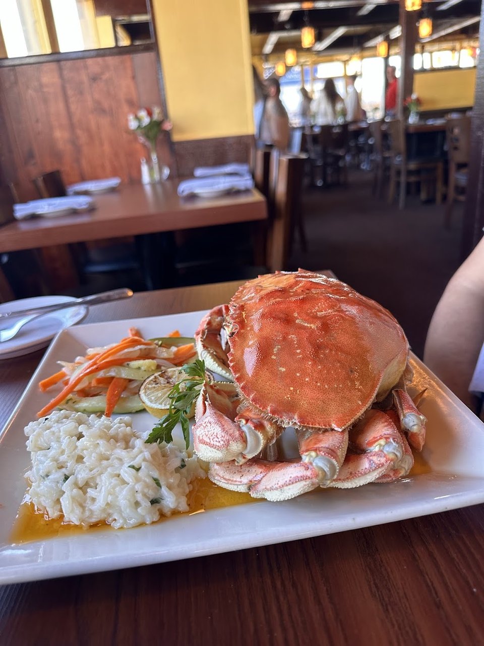 Dungeness Crab